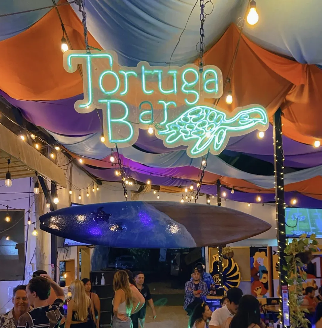 Tortuga Bar neon sign with lights and night vibes